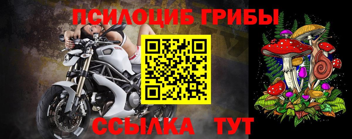 Касимов  Псилоцибиновые грибы Cubensis  Псилоцибиновые грибы Psilocybe  Вход с VPN 