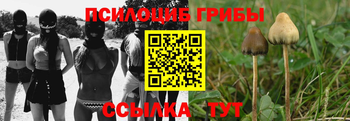 Псилоцибиновые грибы мицелий Касимов